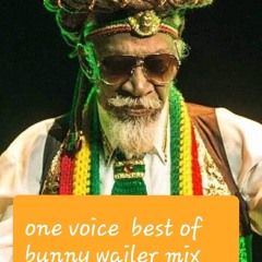 One Voice Family Best Of Bunny Wailer Mixed By Sel Bigpapa