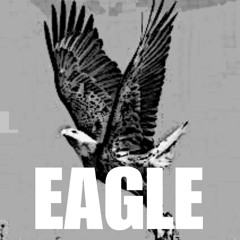 SDJAYO - Eagle