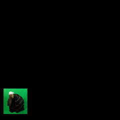 ‎