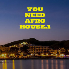YouNeedAfroHouse.1
