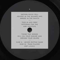 DUSTED: Nathan Micay - Never Rhythm Game (Original Mix) [ESP Institute]