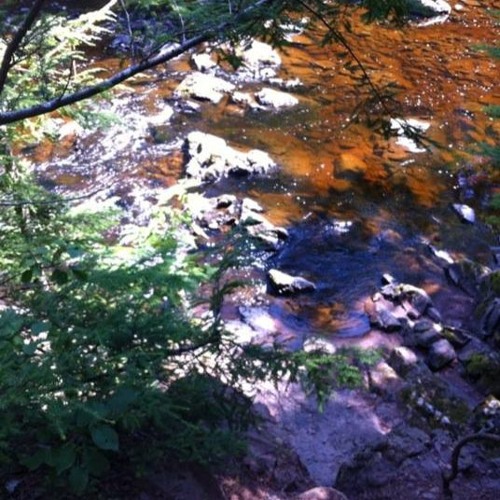 Summertime  ( Gershwin )