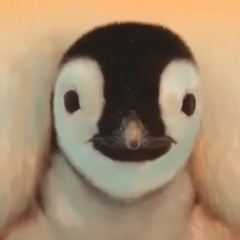 ericdoa - oh, you don’t say?!! (sped up)