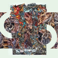 We not all that (revivedkasket)