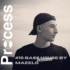 Process #15  Bass House  by MaeeLo