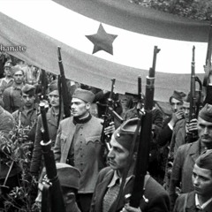 Yugoslav Partisan Song - Po Sumama I gorama