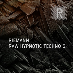 Riemann Raw Hypnotic Techno 5 (Sample Pack Demo Song)