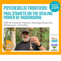 Psychedelic Frontiers: Paul Stamets on the Healing Power of Mushrooms