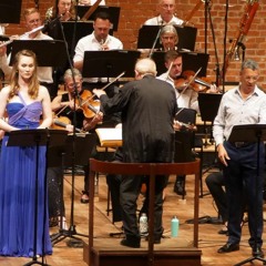 The Faerie Bride (excerpt)