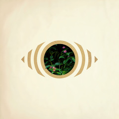Diwata