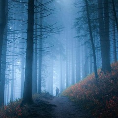 Ashnaia Project - Lost in Words