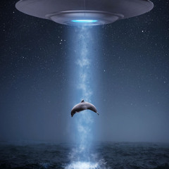 Alien Charmer