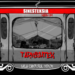 Sinesteksia 14.12.24 / Mental tekno - Mentalcore