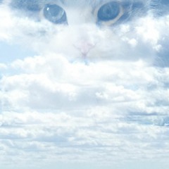 Above The Clouds