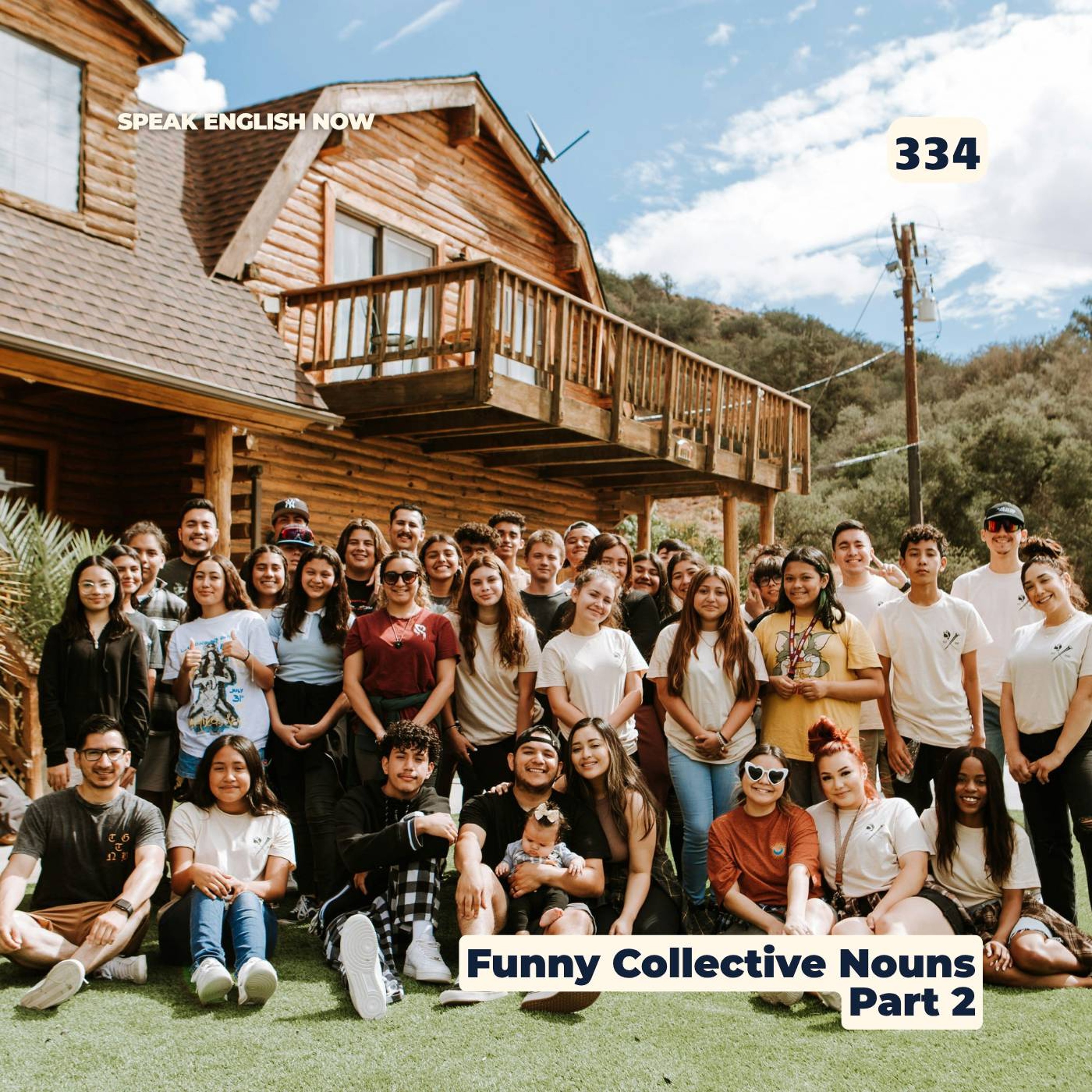 #334 Funny Group Names - Collective Nouns 2 episode artwork