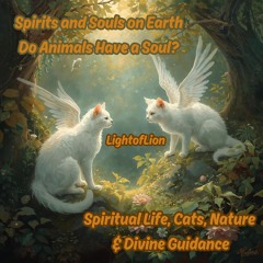Spirits and Souls on Earth - Do Animals Have a Soul - Spiritual Life, Cats, Nature & Divine Guidance