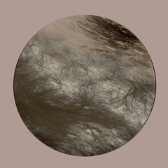 PREMIERE: Ness - Flesh Of The Gods (Dino Sabatini Remix) [Navigare Audio]