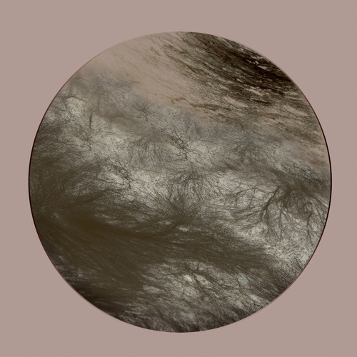 PREMIERE: Ness - Flesh Of The Gods (Dino Sabatini Remix) [Navigare Audio]