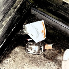 No11 (Feat. MF DOOM & Westside Gunn)