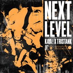 LEVEL INTO LEVEL (OZAKI 808 x KAYA REMIX)