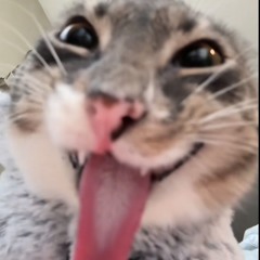 PORSCHE {Jersey Club Remix}