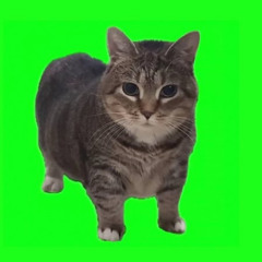 W&W - OIIA OIIA (SPINNING CAT) - SODRU DNB REMIX