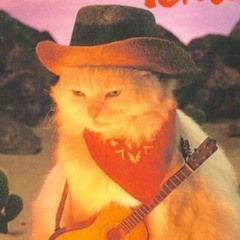 Kitty Jax - Rodeo