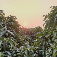 Lockdown Mix - 23 August 2020