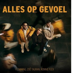 FLEMMING, Zoë Tauran & Ronnie Flex - Alles Op Gevoel (Thyvo Tech House Remix)