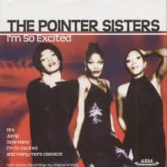 The Pointer Sisters - I'm So Excited - I'm So Excited (Rmx100 Remix) Preview
