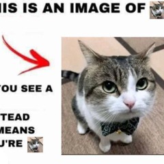 The Cat From Cape Verde (cat from ipanema sample) (credits to J1gggs for making cat from ipanema)