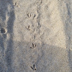 회상 (산울림 Cover)