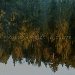 Project Vainiolla - ZZz
