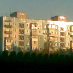 spring flowers+greenfool