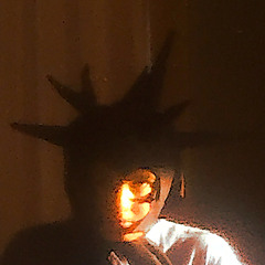 Alpaca de dos cabezas