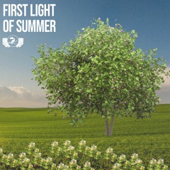 First Light Of Summer | Lofi Beats & Chillhop | Summer Vibes
