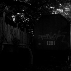 die_stimme_des_feuers