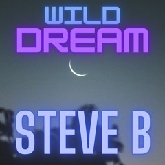 Wild Dream- Steve B