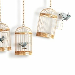 Gold Cage / Colivie de Aur