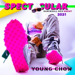 SPECTACULAR DANCEHALL UNCUT MIX 2021!!!