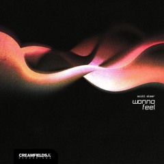 Wanna Feel