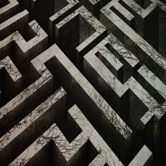 MAZE