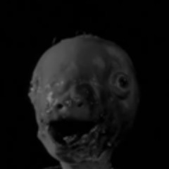 DEKAYED - DISTORT v1