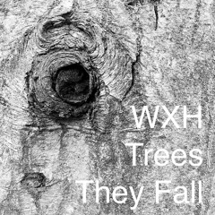 Trees They Fall And Don't Make A Sound