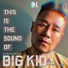 THIS IS THE SOUND OF BIG KID (PART 2) - PODCAST 2020 #THESOUNDOFBK