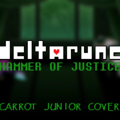 HAMMER OF JUSTICE (Cover)