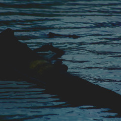 I Drown