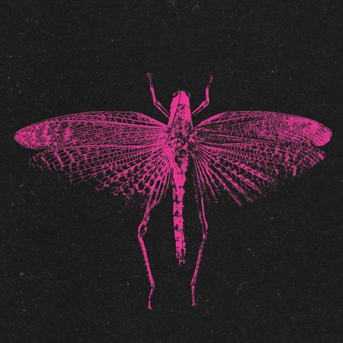 MORD067 - SHXCXCHCXSH - VOOO EP [Previews]
