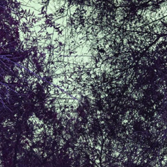 fade into you-mazzy star cover