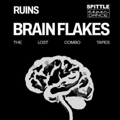 RUINS Brain Flakes promo audio preview